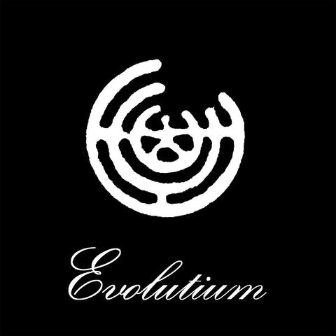 Evolutium