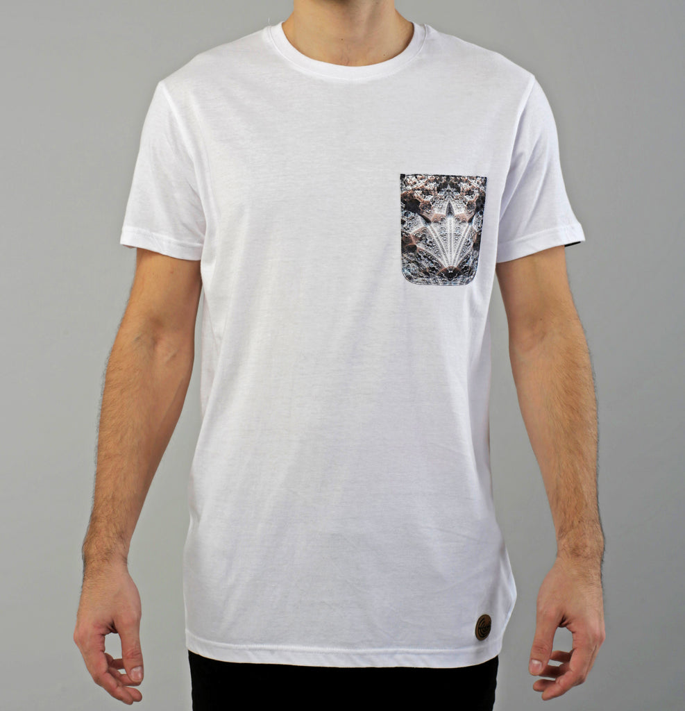 Camiseta Blanca Rosetta Evolutium