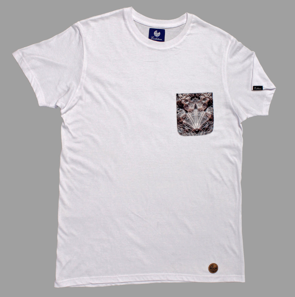 Camiseta Blanca Rosetta Evolutium